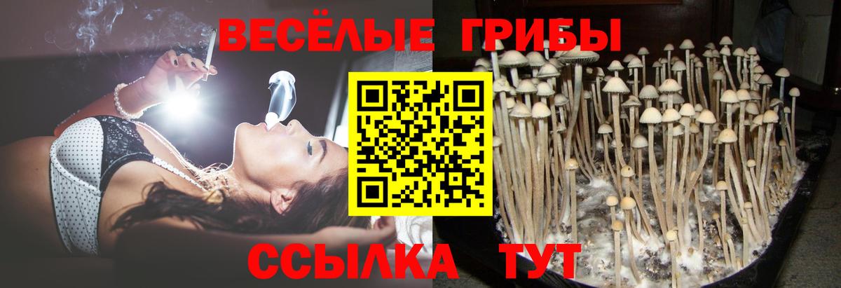 Галлюциногенные грибы Cubensis  Вход с VPN  Магнитогорск 